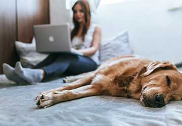 The Best Pet Insurance for Multiple Pets (2024)